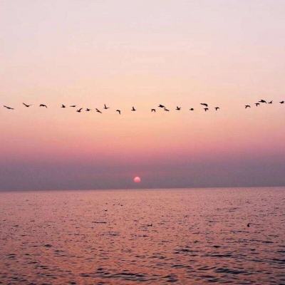 魔法少女养成记游戏(ArchangeIUnity)下载